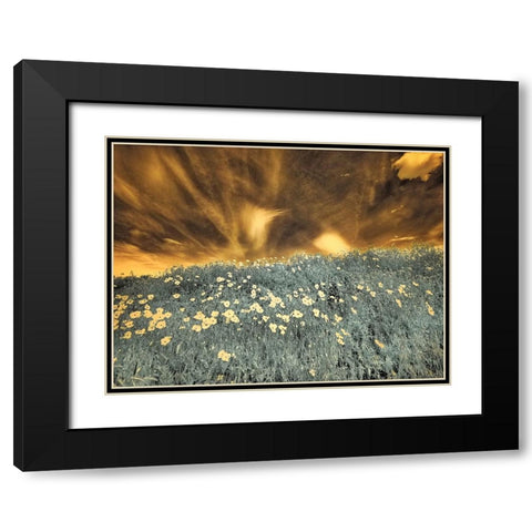 USA-Washington State-Palouse-Spring Poppies and Backcountry road through wheat field and clouds Black Modern Wood Framed Art Print with Double Matting by Eggers, Terry