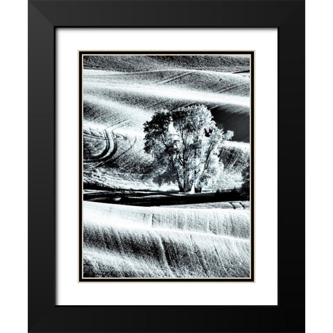 USA-Washington State-Palouse region-Lone tree in Field Black Modern Wood Framed Art Print with Double Matting by Eggers, Terry