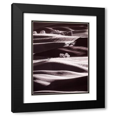 USA-Washington State-Palouse region-Rolling hills at Sunset Black Modern Wood Framed Art Print with Double Matting by Eggers, Terry