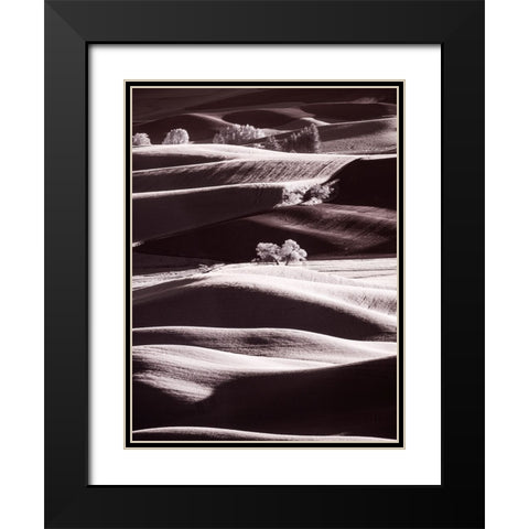 USA-Washington State-Palouse region-Rolling hills at Sunset Black Modern Wood Framed Art Print with Double Matting by Eggers, Terry