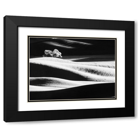 USA-Washington State-Palouse region-Lone tree in Field Black Modern Wood Framed Art Print with Double Matting by Eggers, Terry