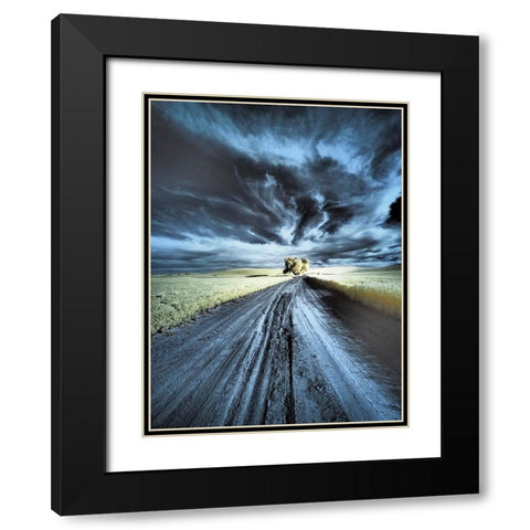 USA-Washington State-Palouse region-Backcountry road leading to Lone Tree Black Modern Wood Framed Art Print with Double Matting by Eggers, Terry