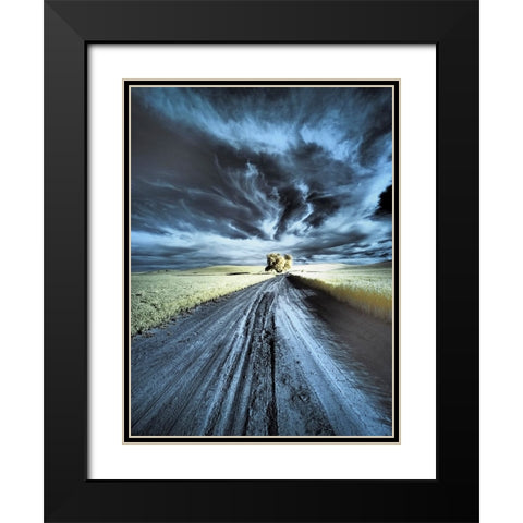USA-Washington State-Palouse region-Backcountry road leading to Lone Tree Black Modern Wood Framed Art Print with Double Matting by Eggers, Terry