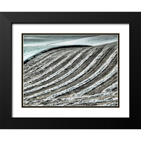 USA-Washington State-Palouse region-Harvest cut lines in Field Black Modern Wood Framed Art Print with Double Matting by Eggers, Terry