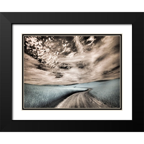 USA-Washington State-Palouse region-winding backcountry road through wheat fields Black Modern Wood Framed Art Print with Double Matting by Eggers, Terry