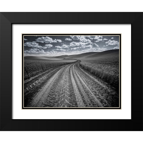 USA-Washington State-Palouse-Country backroad through spring crops Black Modern Wood Framed Art Print with Double Matting by Eggers, Terry
