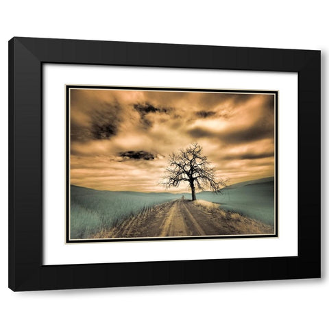 USA-Washington State-Palouse Infrared of lone tree along side country road Black Modern Wood Framed Art Print with Double Matting by Eggers, Terry