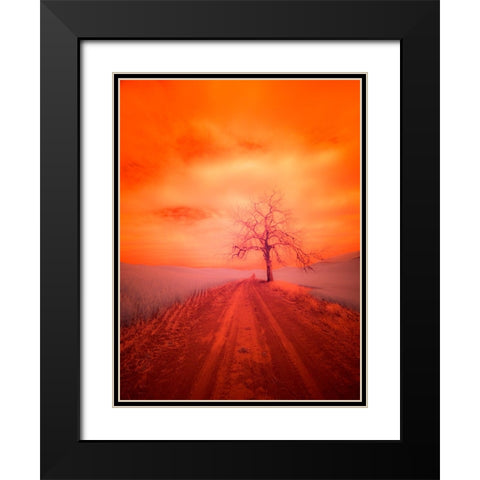 USA-Washington State-Palouse Infrared of lone tree along side country road Black Modern Wood Framed Art Print with Double Matting by Eggers, Terry