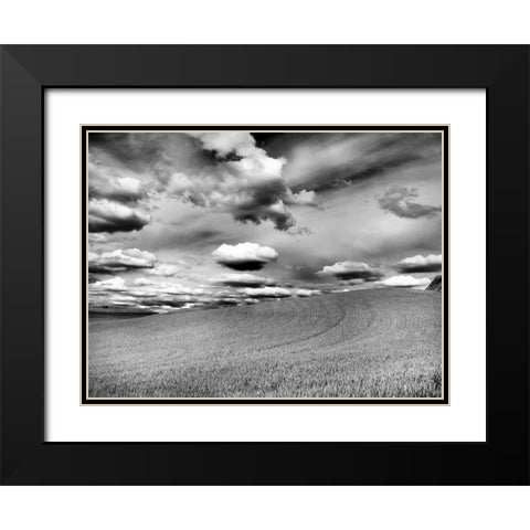 USA-Washington State-Palouse Infrared of rolling hills of crops and clouds Black Modern Wood Framed Art Print with Double Matting by Eggers, Terry