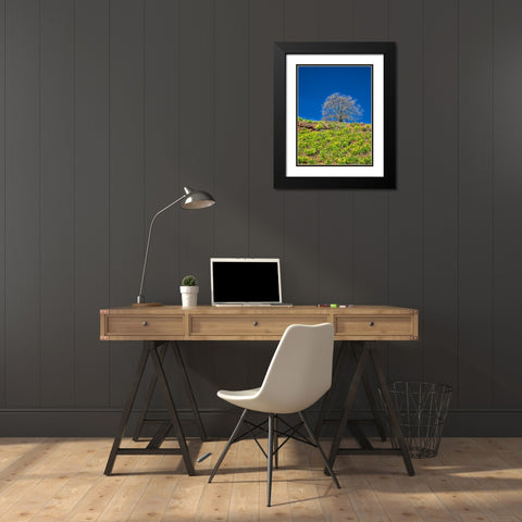 USA-Washington State Lone Tree on hillside with spring wildflowers Black Modern Wood Framed Art Print with Double Matting by Eggers, Terry