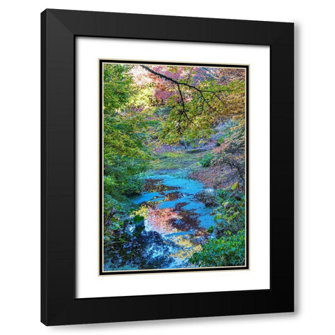 Autumn Colorful Leaves Reflection-Bellevue-Botanical Garden-Washington State Black Modern Wood Framed Art Print with Double Matting by Perry, William