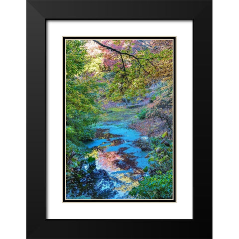 Autumn Colorful Leaves Reflection-Bellevue-Botanical Garden-Washington State Black Modern Wood Framed Art Print with Double Matting by Perry, William