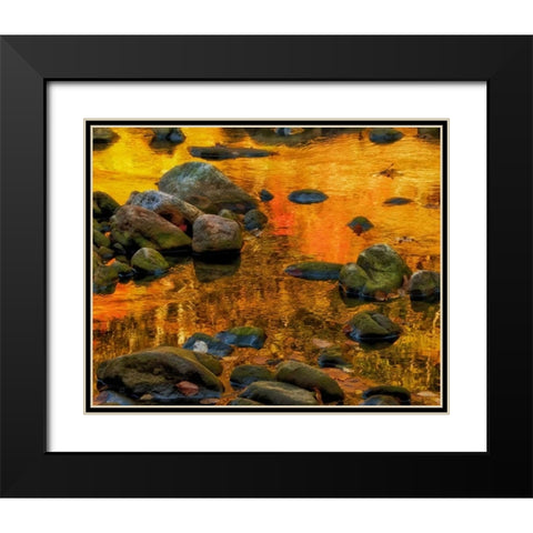 West Virginia, Davis Autumn reflections on pond Black Modern Wood Framed Art Print with Double Matting by OBrien, Jay