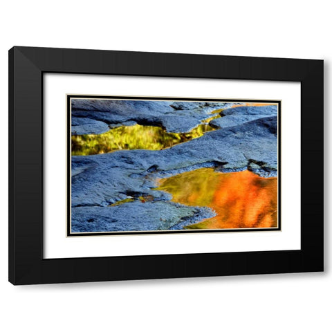 WV, Blackwater Falls SP Autumn reflections Black Modern Wood Framed Art Print with Double Matting by OBrien, Jay