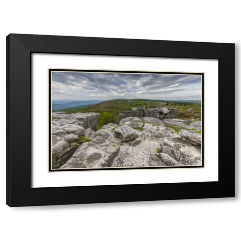 WV, Landscape in Dolly Sods Wilderness Area Black Modern Wood Framed Art Print with Double Matting by OBrien, Jay