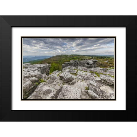 WV, Landscape in Dolly Sods Wilderness Area Black Modern Wood Framed Art Print with Double Matting by OBrien, Jay
