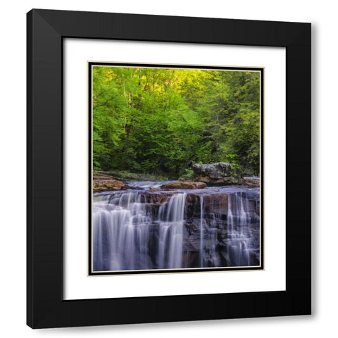 West Virginia, Davis, Blackwater Falls The falls Black Modern Wood Framed Art Print with Double Matting by OBrien, Jay