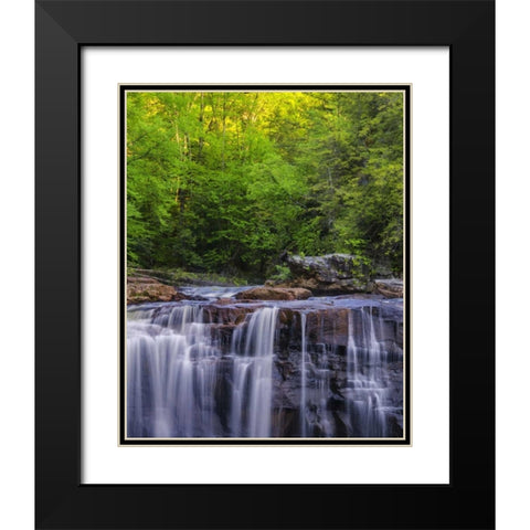 West Virginia, Davis, Blackwater Falls The falls Black Modern Wood Framed Art Print with Double Matting by OBrien, Jay