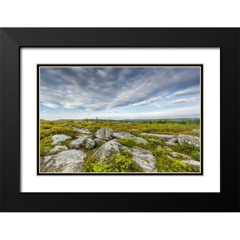 WV, Landscape in Dolly Sods Wilderness Area Black Modern Wood Framed Art Print with Double Matting by OBrien, Jay