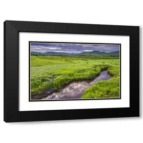 WV, Davis Landscape of the Canaan Valley Black Modern Wood Framed Art Print with Double Matting by OBrien, Jay