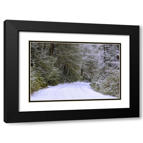 WV, Blackwater Falls Snowy road through forest Black Modern Wood Framed Art Print with Double Matting by OBrien, Jay