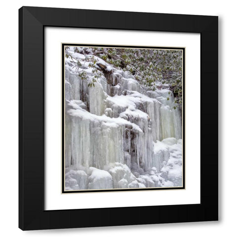 West Virginia, Blackwater Falls Frozen waterfall Black Modern Wood Framed Art Print with Double Matting by OBrien, Jay