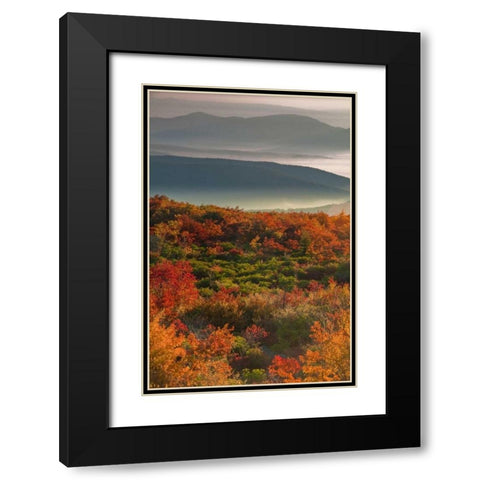 WV, Dolly Sods Wilderness Sunrise landscape Black Modern Wood Framed Art Print with Double Matting by OBrien, Jay