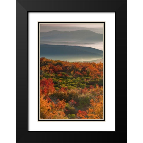 WV, Dolly Sods Wilderness Sunrise landscape Black Modern Wood Framed Art Print with Double Matting by OBrien, Jay