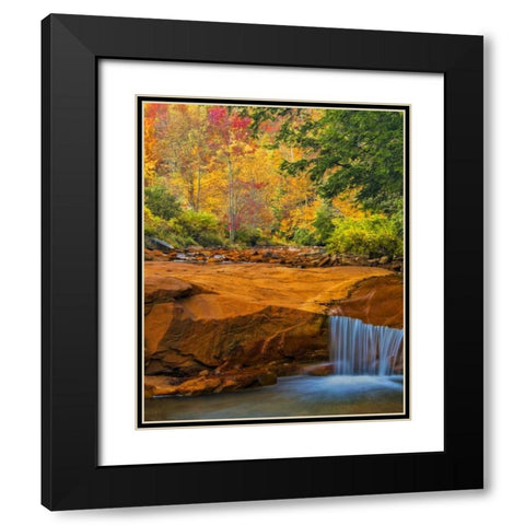 WV, Douglass Falls Waterfall over rock outcrop Black Modern Wood Framed Art Print with Double Matting by OBrien, Jay