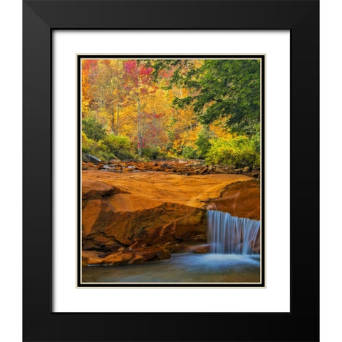 WV, Douglass Falls Waterfall over rock outcrop Black Modern Wood Framed Art Print with Double Matting by OBrien, Jay