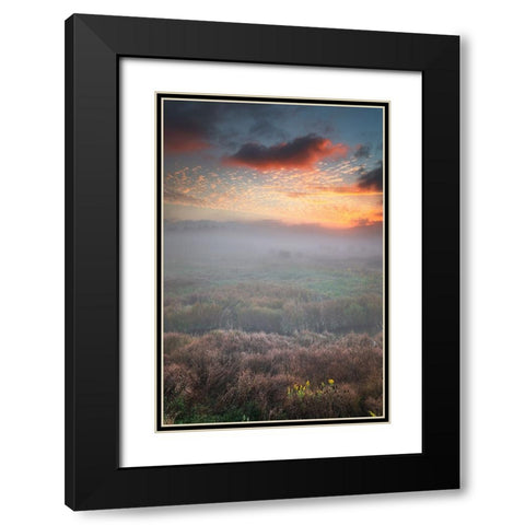 USA-West Virginia-Davis Fog over stream in valley at sunrise Black Modern Wood Framed Art Print with Double Matting by Jaynes Gallery