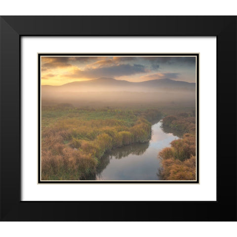 USA-West Virginia-Davis Fog over stream in valley at sunrise Black Modern Wood Framed Art Print with Double Matting by Jaynes Gallery