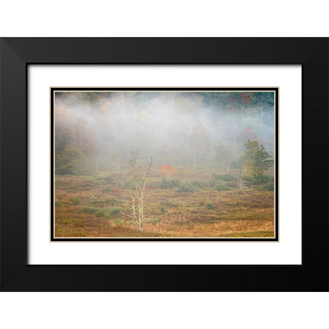 USA-West Virginia-Davis Foggy forest in fall colors Black Modern Wood Framed Art Print with Double Matting by Jaynes Gallery