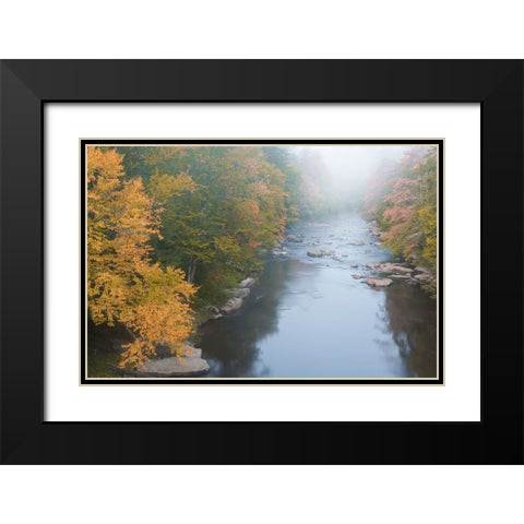 USA-West Virginia-Davis Foggy stream in Blackwater State Park Black Modern Wood Framed Art Print with Double Matting by Jaynes Gallery