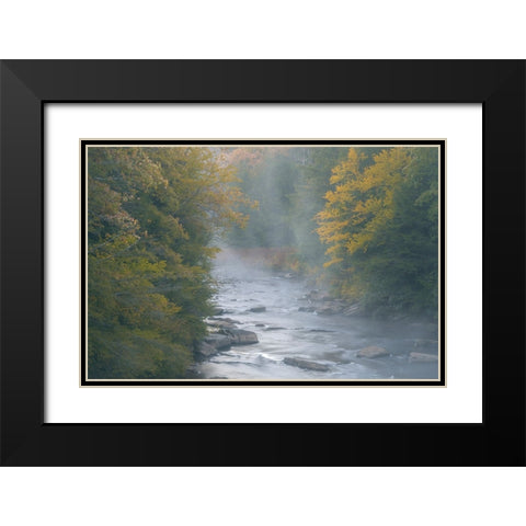 USA-West Virginia-Davis Foggy stream in Blackwater State Park Black Modern Wood Framed Art Print with Double Matting by Jaynes Gallery