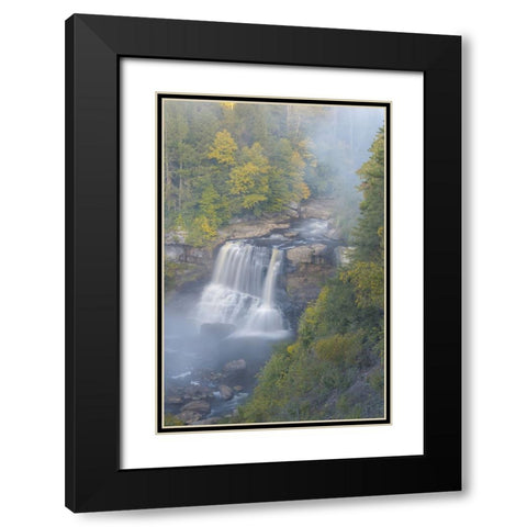 USA-West Virginia-Davis Overview of waterfall in Blackwater State Park Black Modern Wood Framed Art Print with Double Matting by Jaynes Gallery