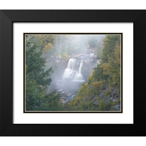 USA-West Virginia-Davis Overview of waterfall in Blackwater State Park Black Modern Wood Framed Art Print with Double Matting by Jaynes Gallery