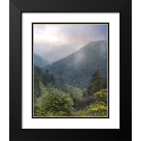USA-West Virginia-Davis Forested mountain landscape in fog Black Modern Wood Framed Art Print with Double Matting by Jaynes Gallery