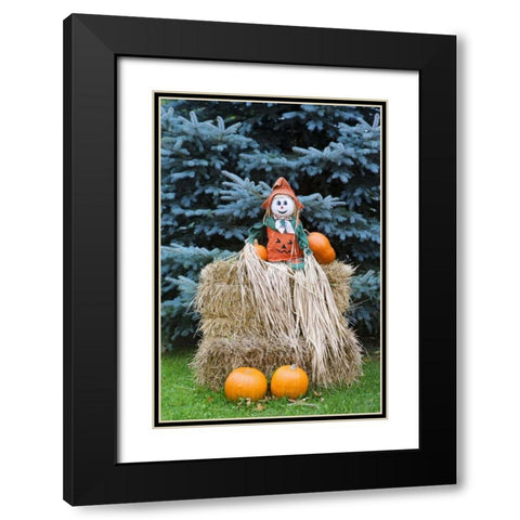 Wisconsin Autumn haystack and Halloween decor Black Modern Wood Framed Art Print with Double Matting by Flaherty, Dennis