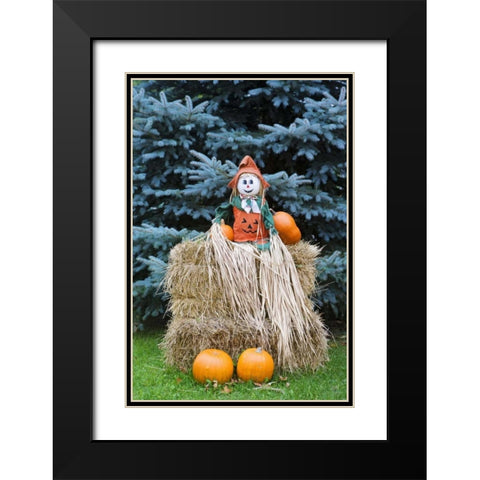 Wisconsin Autumn haystack and Halloween decor Black Modern Wood Framed Art Print with Double Matting by Flaherty, Dennis