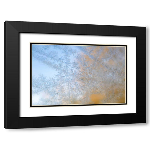 Wisconsin, Madison Frost patterns on glass Black Modern Wood Framed Art Print with Double Matting by Grall, Don
