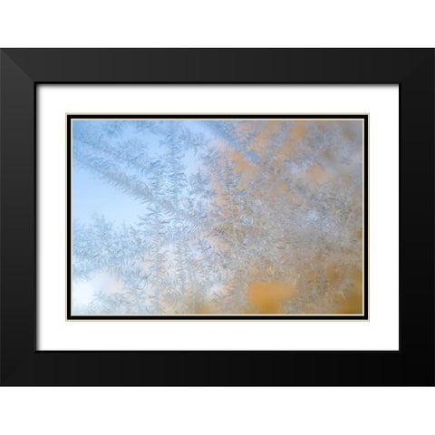 Wisconsin, Madison Frost patterns on glass Black Modern Wood Framed Art Print with Double Matting by Grall, Don