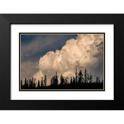 Trees silhouetted against cumulus cloud-Yellowstone National Park-Wyoming Black Modern Wood Framed Art Print with Double Matting by Jones, Adam
