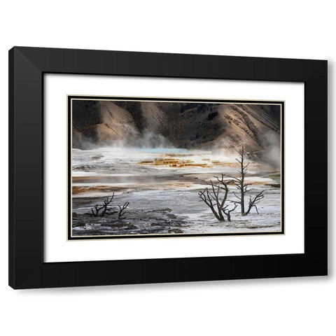 Black tree trunks and colorful hot spring terrace-Canary Spring-Mammoth Hot Springs Black Modern Wood Framed Art Print with Double Matting by Jones, Adam