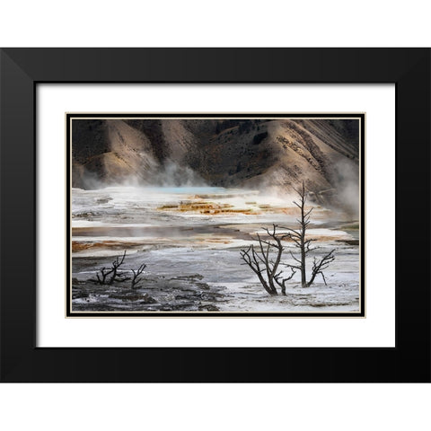 Black tree trunks and colorful hot spring terrace-Canary Spring-Mammoth Hot Springs Black Modern Wood Framed Art Print with Double Matting by Jones, Adam