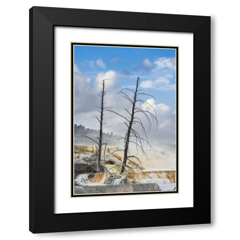 Black tree trunks and colorful terrace-Mammoth Hot Springs-Yellowstone National Park-Wyoming Black Modern Wood Framed Art Print with Double Matting by Jones, Adam