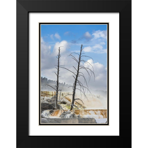 Black tree trunks and colorful terrace-Mammoth Hot Springs-Yellowstone National Park-Wyoming Black Modern Wood Framed Art Print with Double Matting by Jones, Adam