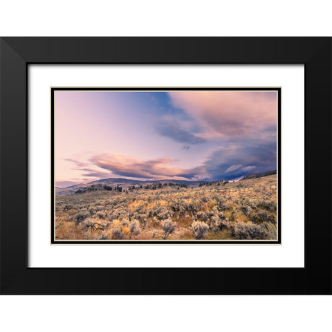 Mountain big sagebrush at sunrise-Lamar Valley-Yellowstone National Park-Wyoming Black Modern Wood Framed Art Print with Double Matting by Jones, Adam
