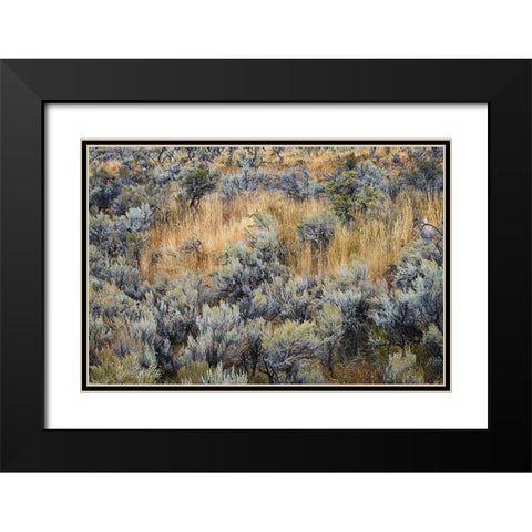 Mountain big sagebrush-Yellowstone National Park-Wyoming Black Modern Wood Framed Art Print with Double Matting by Jones, Adam