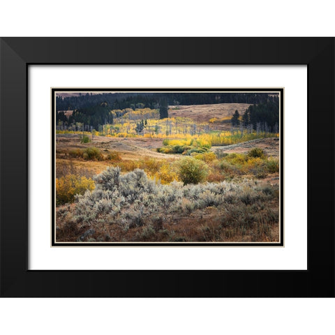 Scenic landscape view of Lamar Valley with aspen trees and sagebrush-Yellowstone National Park Black Modern Wood Framed Art Print with Double Matting by Jones, Adam